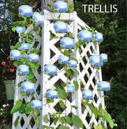 Picture of a Trellis built and intalled around a tree.
